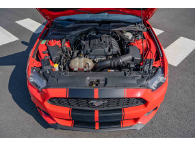 Ford Mustang Eco Boost 2.3L - 2016 - Ethanol - bandes noires - spoiler noir - EN STOCK