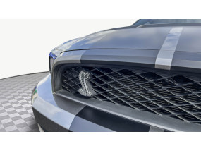 Ford Mustang SHELBY GT500 V8 5.4L - 2011 - BREMBO - SVT
