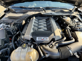 * VENDU * - Mustang GT V8 5.0L - 2016 - Capot GT500 - Boite automatique - Pas de malus