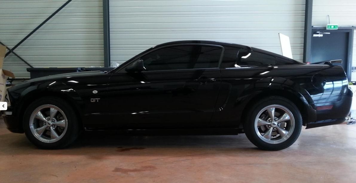 Mustang teintée